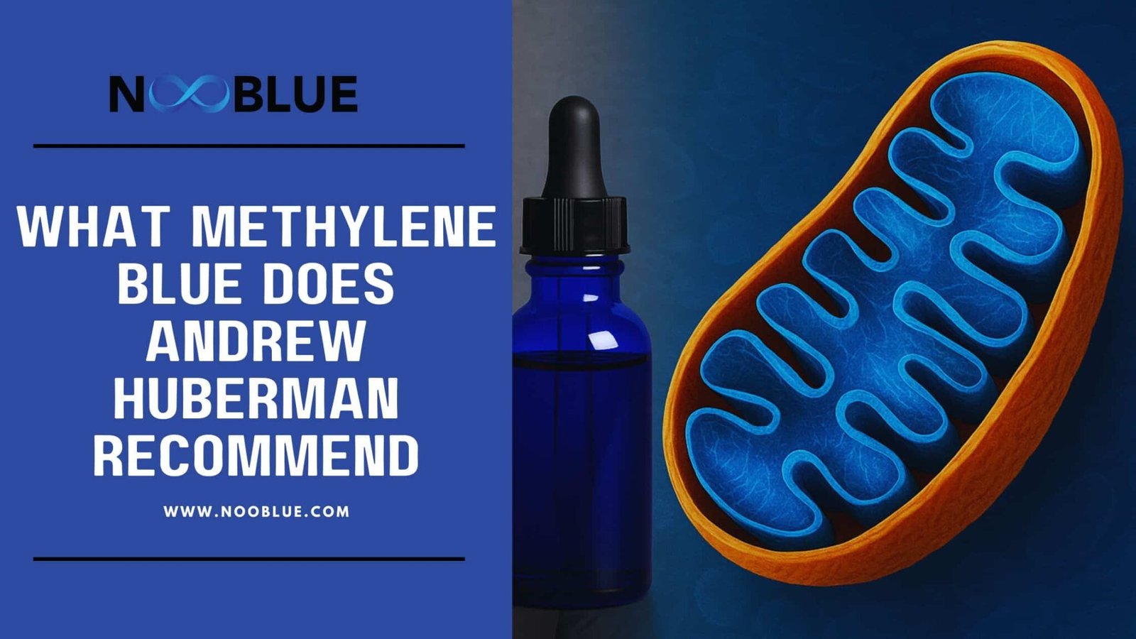 Andrew Huberman Recommended Methylene Blue