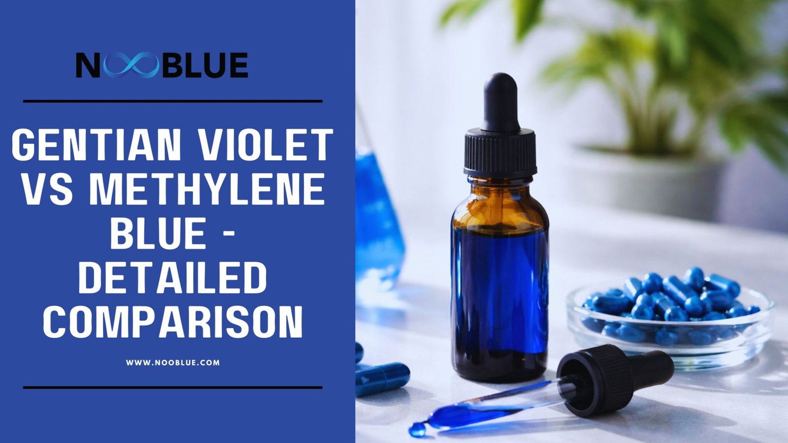 Gentian Violet vs Methylene Blue Comparison