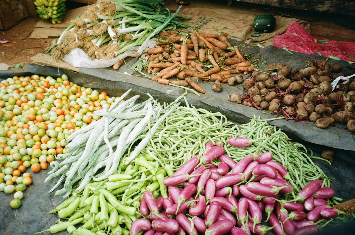 methylene blue gut health - colorful fresh vegetables nutrition microbiome | NooBlue