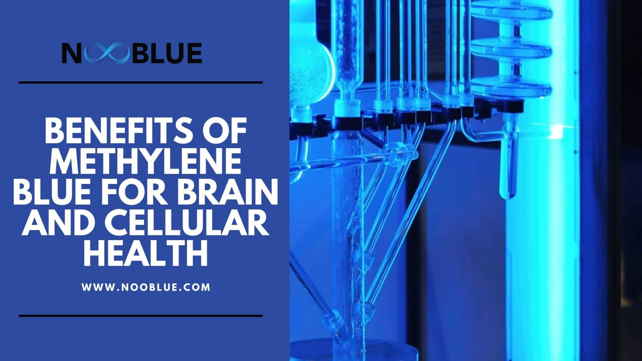 bienfaits du bleu de méthylène pour le cerveau et l’énergie cellulaire