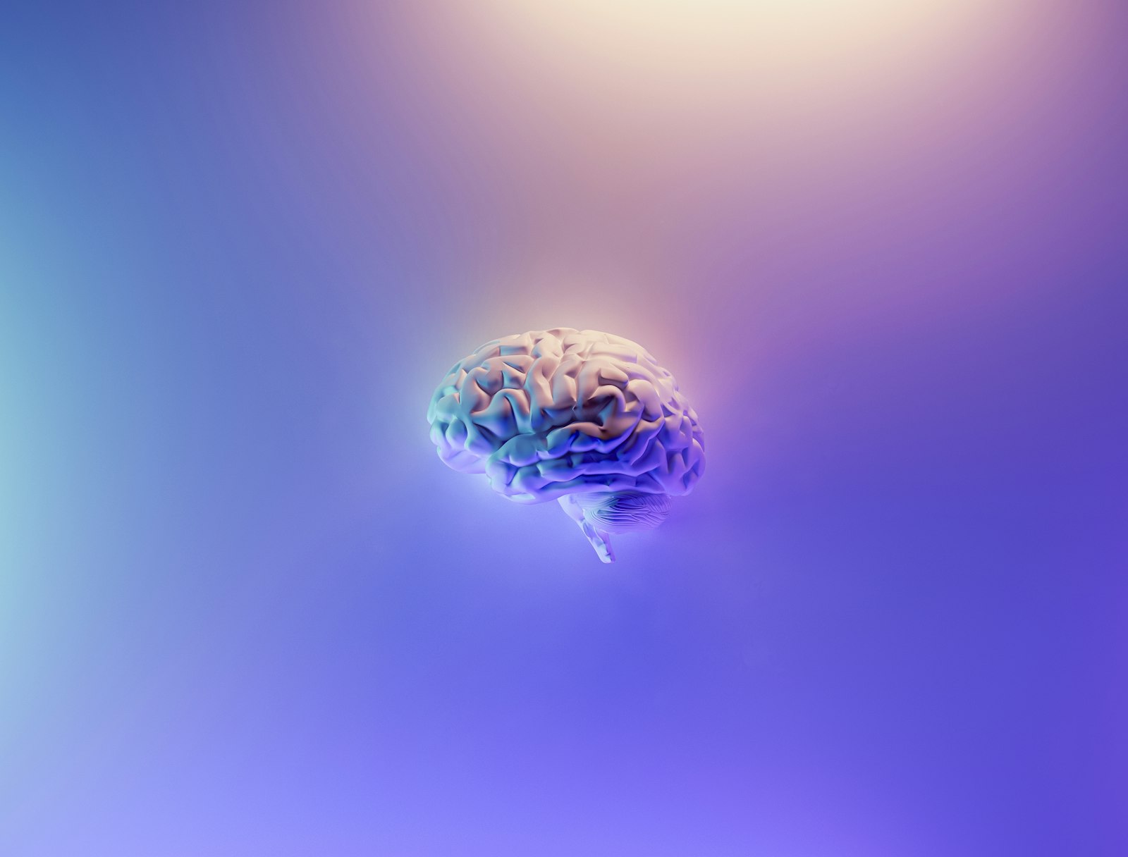 Best nootropics for energy and focus in 2026 compared