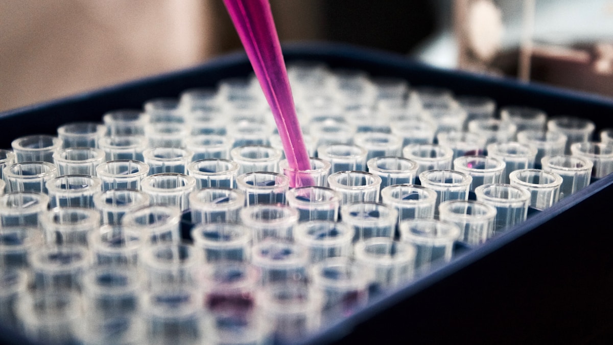 Methylene blue USP grade product comparison with laboratory certificate of analysis documents