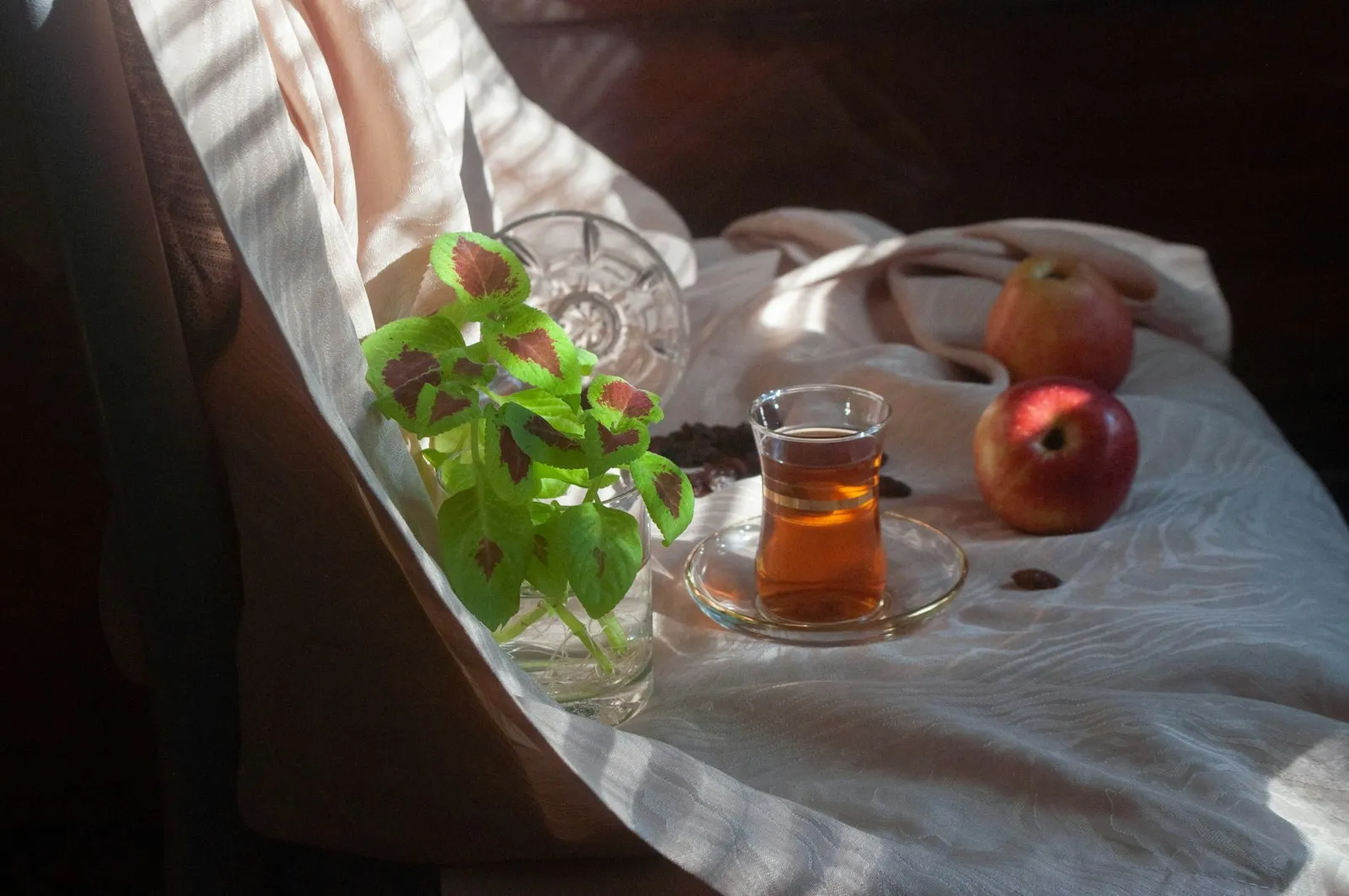 How to get energy back after being sick: a glass of tea, apples and a green plant in morning light